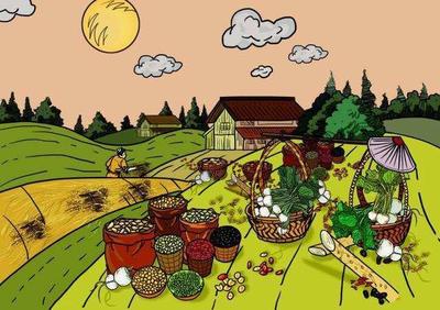 解決農(nóng)產(chǎn)品交易大問題——標(biāo)準(zhǔn)化合約如何重塑谷物銷售格局